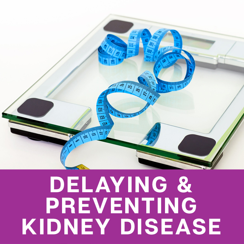 delaying-preventing-kidney-disease-RSN